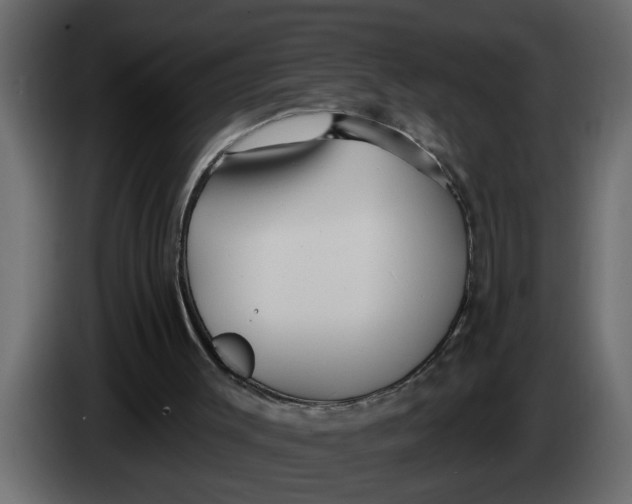 X0000083590003200703021858
