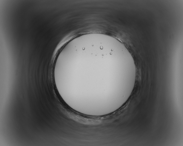 X0000083590004200703021858