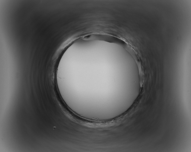 X0000083590005200703021858