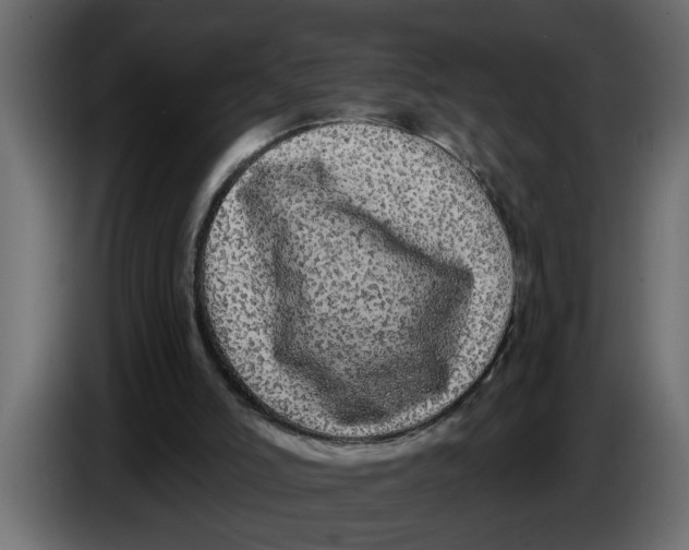 X0000083590006200703021858
