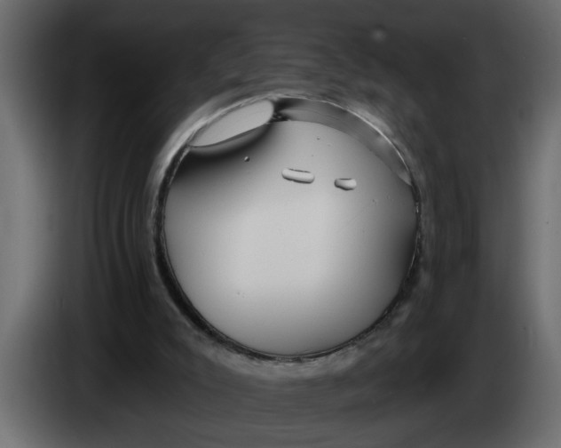 X0000083590007200703021858