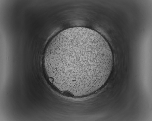 X0000083590010200703021857
