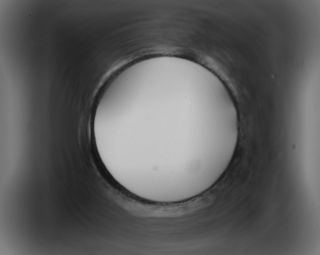 X0000083590011200703021857
