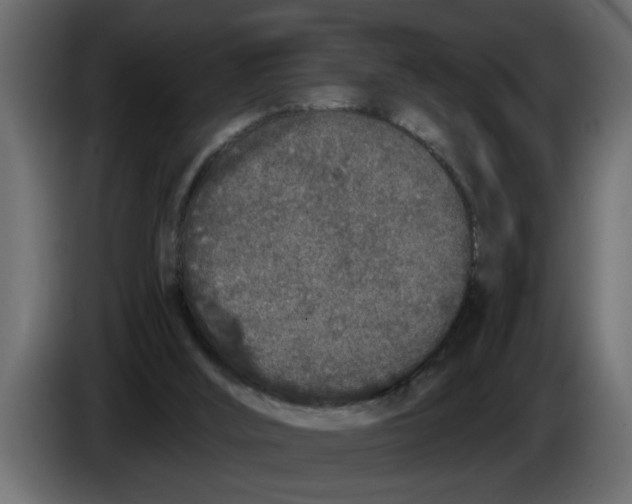 X0000083590012200703021857