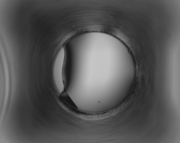 X0000083590013200703021857