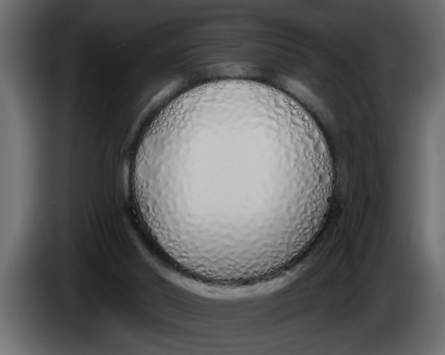 X0000083590014200703021857