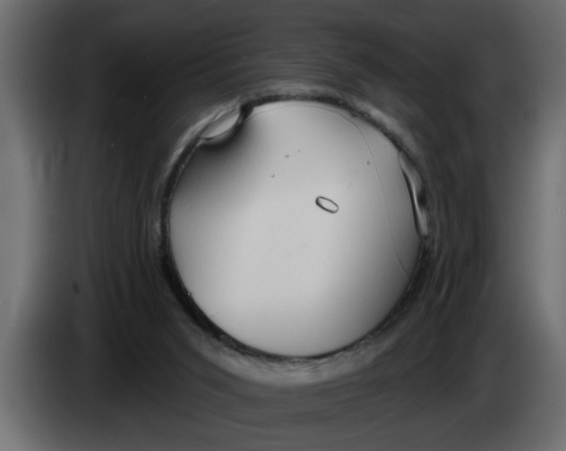 X0000083590015200703021857