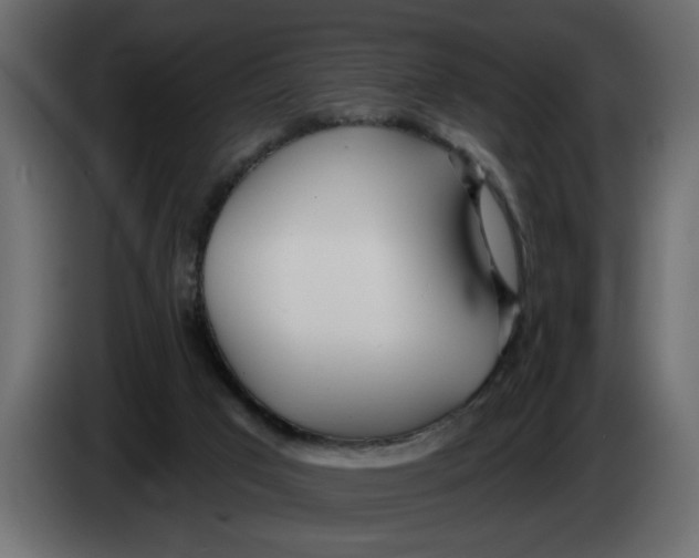 X0000083590017200703021857