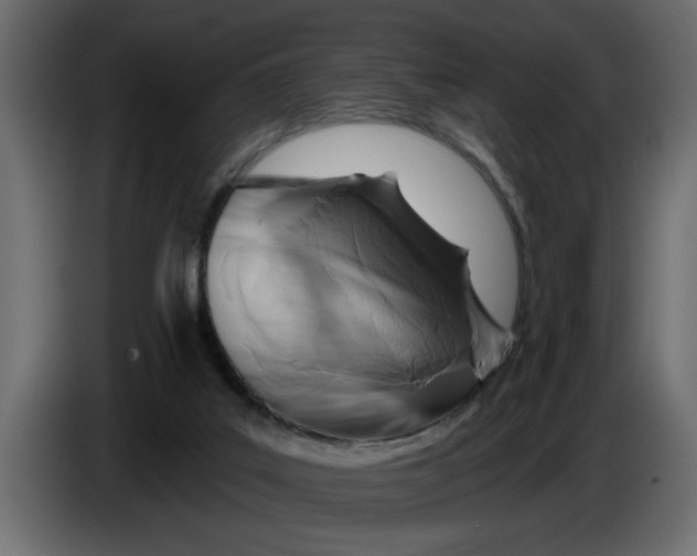 X0000083590019200703021857