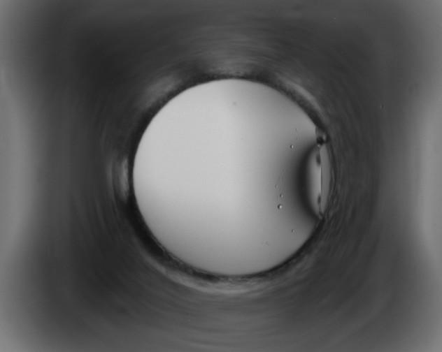 X0000083590020200703021857