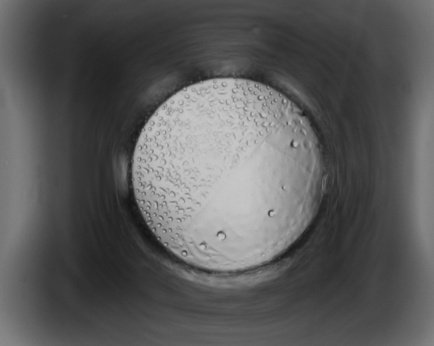 X0000083590022200703021857