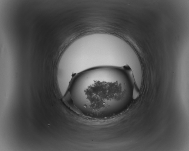 X0000083590023200703021857