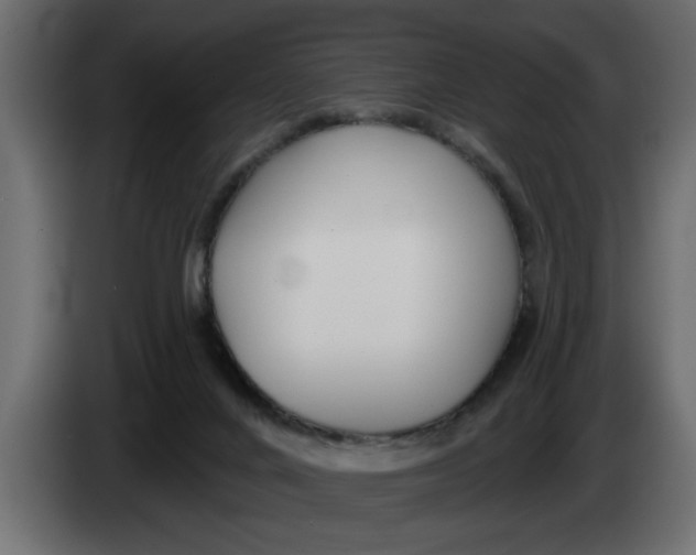 X0000083590024200703021857