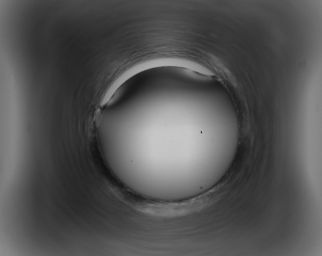 X0000083590025200703021857