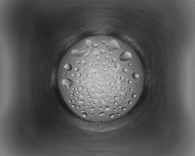 X0000083590026200703021857