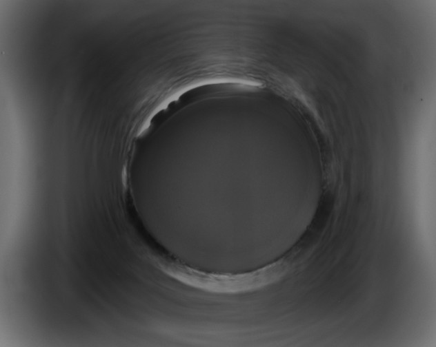 X0000083590027200703021857