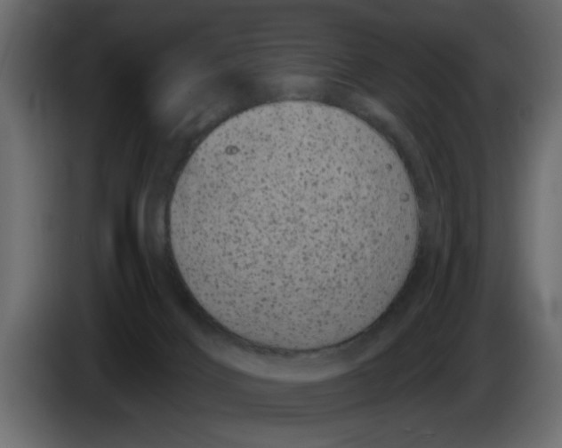 X0000083590028200703021857