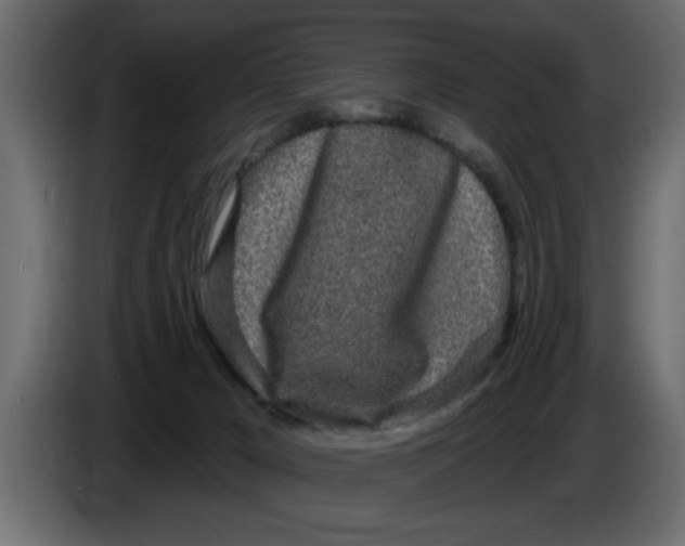 X0000083590029200703021857