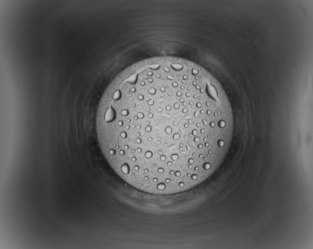 X0000083590030200703021857