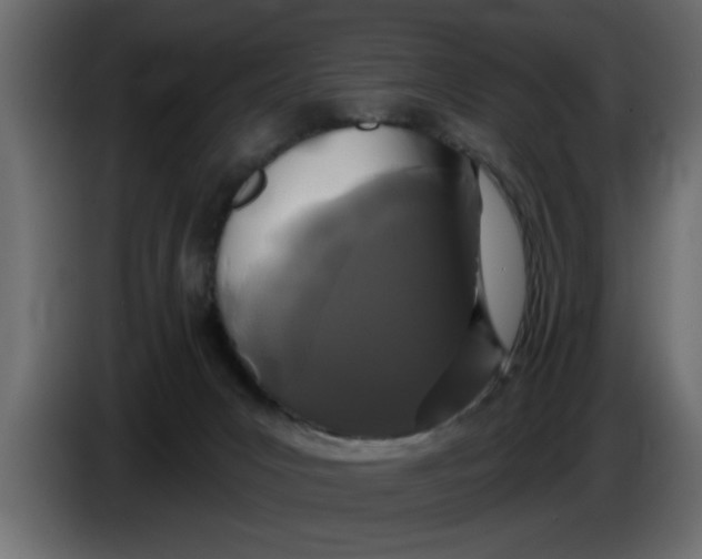 X0000083590031200703021857