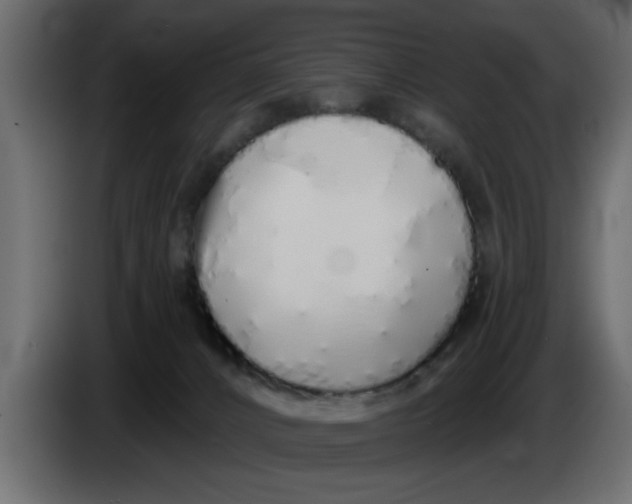 X0000083590032200703021857