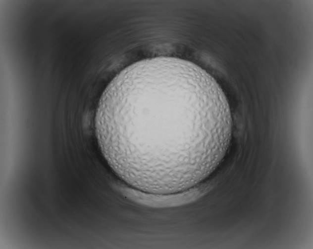 X0000083590034200703021857