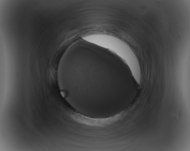 X0000083590035200703021857