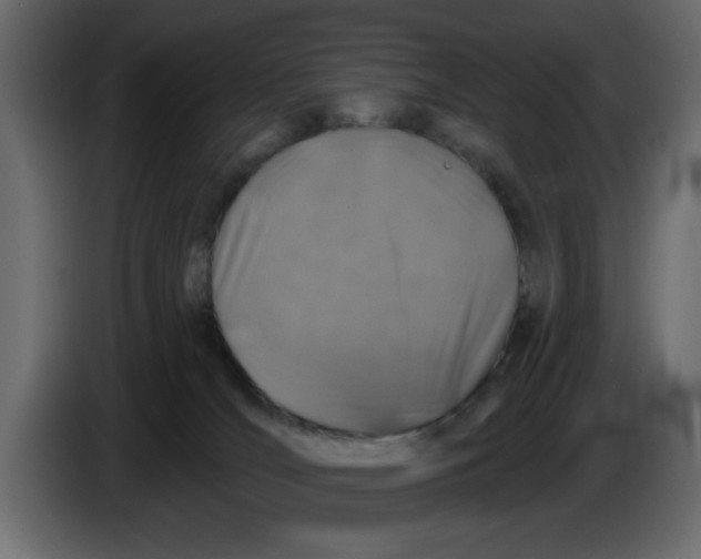 X0000083590036200703021857
