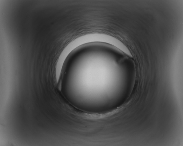 X0000083590037200703021857