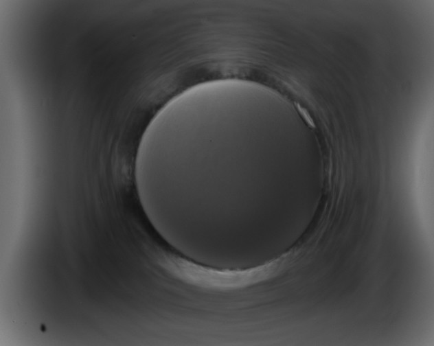 X0000083590039200703021857