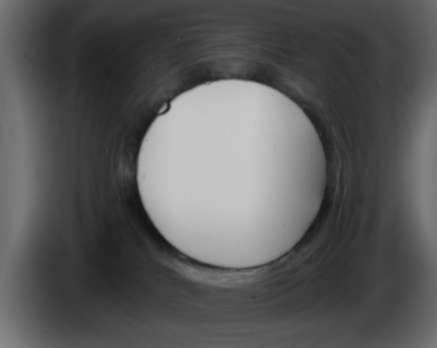 X0000083590040200703021857