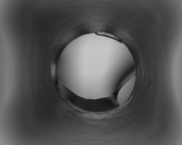 X0000083590041200703021857
