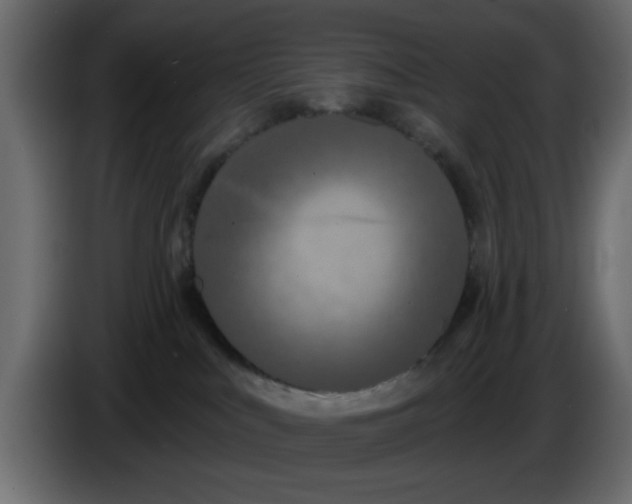 X0000083590043200703021857