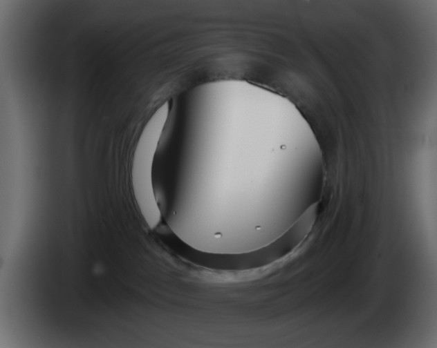 X0000083590045200703021857