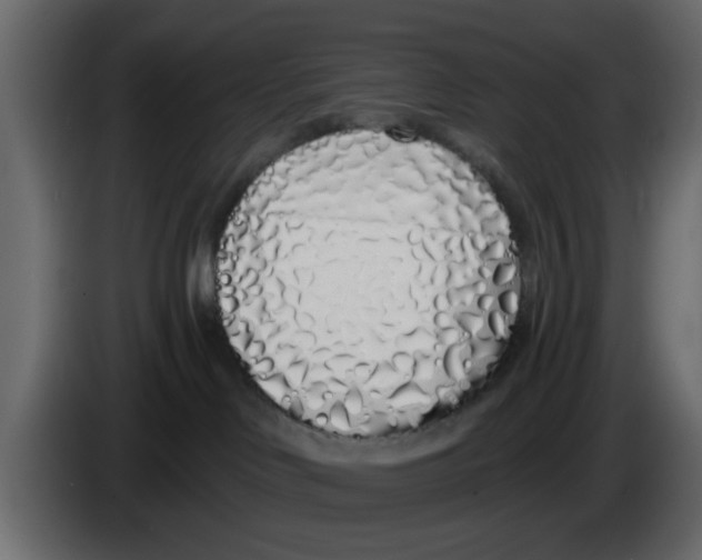 X0000083590046200703021857