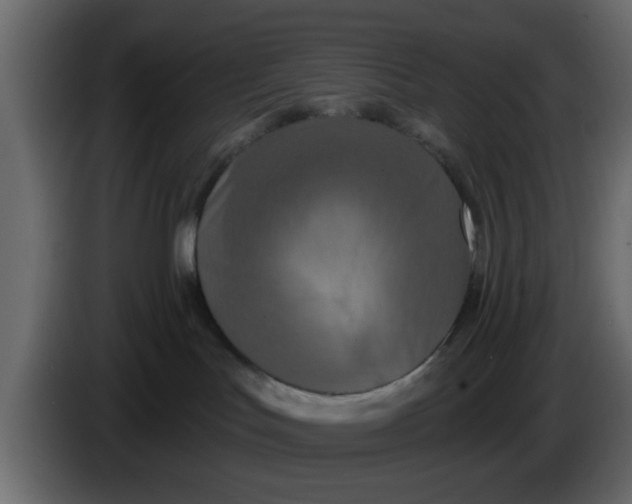 X0000083590047200703021857