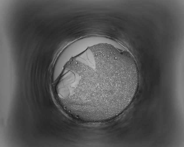 X0000083590049200703021856