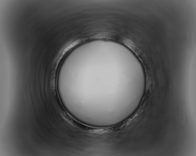 X0000083590050200703021856