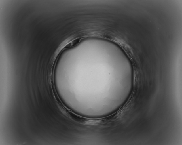 X0000083590051200703021856