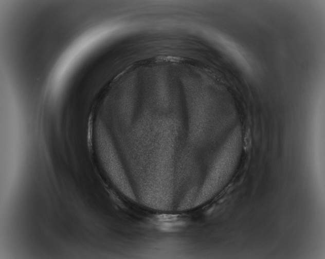 X0000083590052200703021856