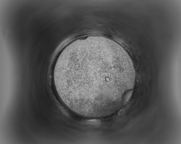 X0000083590053200703021856