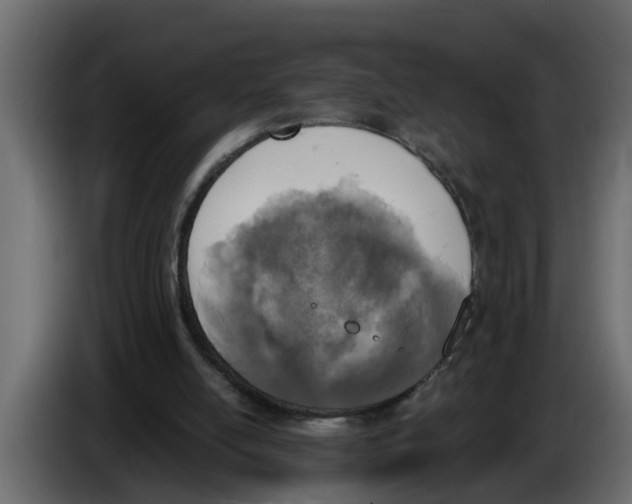X0000083590054200703021856