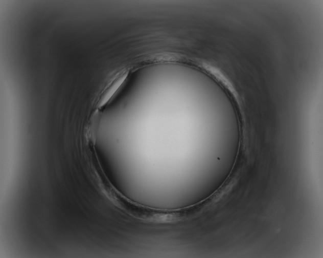 X0000083590057200703021856