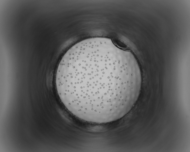 X0000083590058200703021856