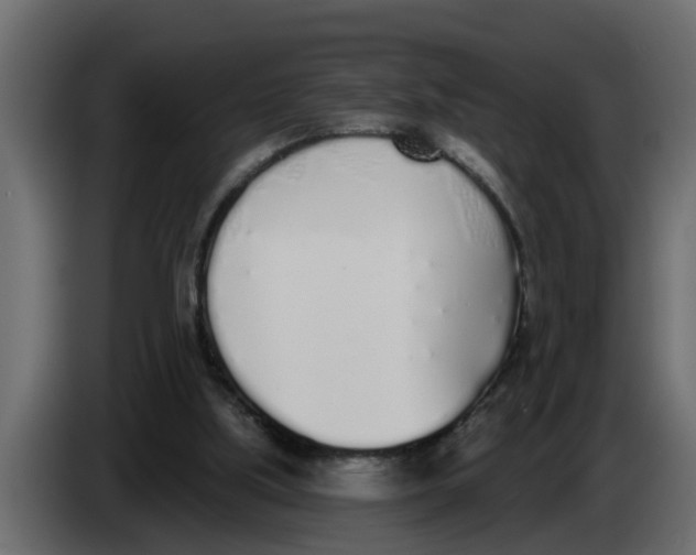 X0000083590059200703021856