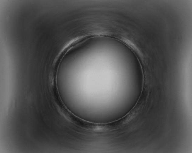 X0000083590060200703021856