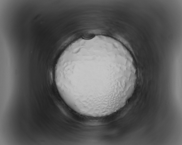 X0000083590061200703021856