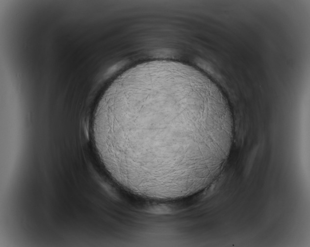 X0000083590062200703021856