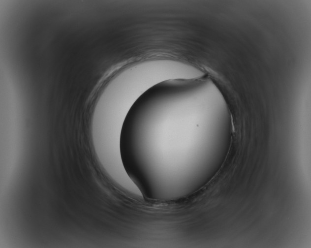 X0000083590064200703021856