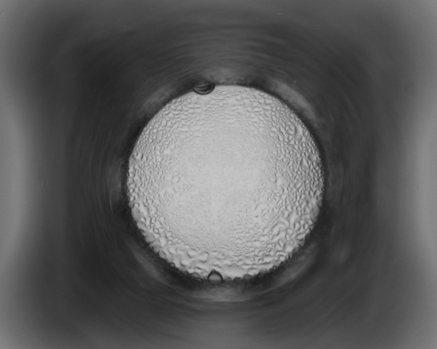 X0000083590065200703021856